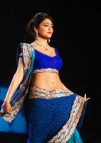 Shriya Saran (aka) Actress Shriya