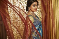 Shriya Saran (aka) Actress Shriya