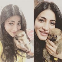 Shruti Haasan (aka) Shruti Hasan