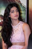 Shruti Haasan (aka) Shruti Hasan