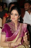 Sridevi (aka) Sri Devi