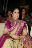 Sridevi (aka) Sri Devi