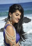 Taapsee Pannu (aka) Actress Tapsee