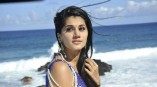 Taapsee Pannu (aka) Actress Tapsee