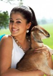 Taapsee Pannu (aka) Actress Tapsee