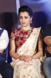 Trisha Krishnan (aka) Trisha