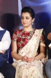 Trisha Krishnan (aka) Trisha