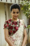 Trisha Krishnan (aka) Trisha