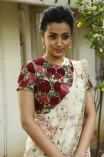 Trisha Krishnan (aka) Trisha