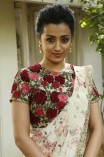 Trisha Krishnan (aka) Trisha