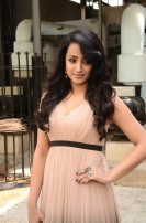 Trisha Krishnan (aka) Trisha