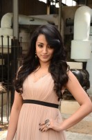 Trisha Krishnan (aka) Trisha