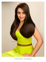 Trisha Krishnan (aka) Trisha