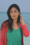 Yami Gautam (aka) Yami Gautham