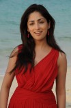 Yami Gautam (aka) Yami Gautham