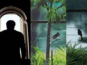 Veteran hero turns photographer? Picture-perfect clicks - Lockdown avatar stuns fans!