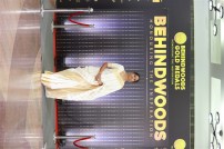 Behindwoods Gold Medals - Iconic Edition - The Red Carpet