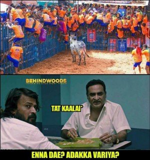 Behindwoods Meme