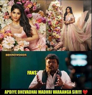 Behindwoods Meme