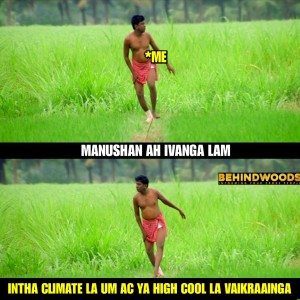 Behindwoods Meme