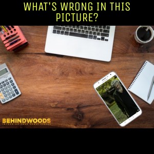 Behindwoods Meme