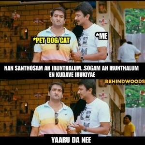 Behindwoods Meme