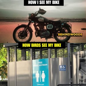 Behindwoods Meme