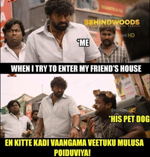 Behindwoods Meme