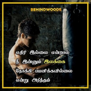 Behindwoods Meme