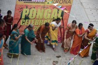 Behindwoods Pongal Celebration 