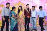 BHARATH AND JESHLY WEDDING RECEPTION SET 2