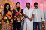 BHARATH AND JESHLY WEDDING RECEPTION SET 2