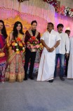 BHARATH AND JESHLY WEDDING RECEPTION SET 2