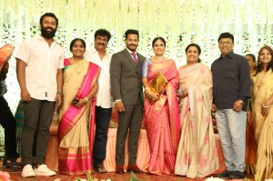 Chandini Tamilarasan - Nanda Wedding