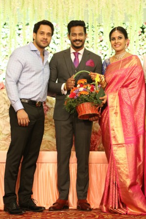 Chandini Tamilarasan - Nanda Wedding