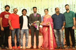 Chandini Tamilarasan - Nanda Wedding