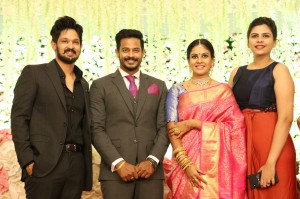 Chandini Tamilarasan - Nanda Wedding