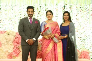 Chandini Tamilarasan - Nanda Wedding