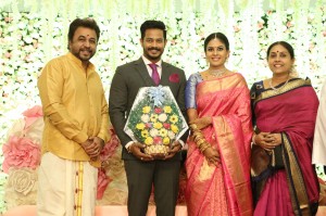 Chandini Tamilarasan - Nanda Wedding