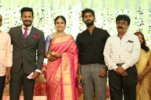 Chandini Tamilarasan - Nanda Wedding