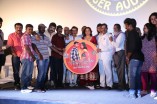 Enna Pidichirukka Audio Launch