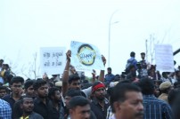 Jallikattu protest across the globe