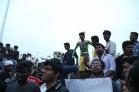 Jallikattu protest across the globe