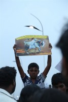 Jallikattu protest across the globe