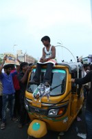 Jallikattu protest across the globe