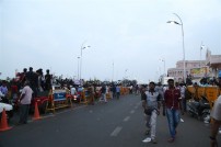 Jallikattu protest across the globe