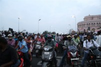 Jallikattu protest across the globe