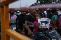 Jallikattu protest across the globe