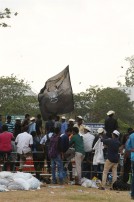 Jallikattu protest across the globe