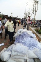 Jallikattu protest across the globe